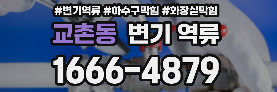 교촌동 변기 역류