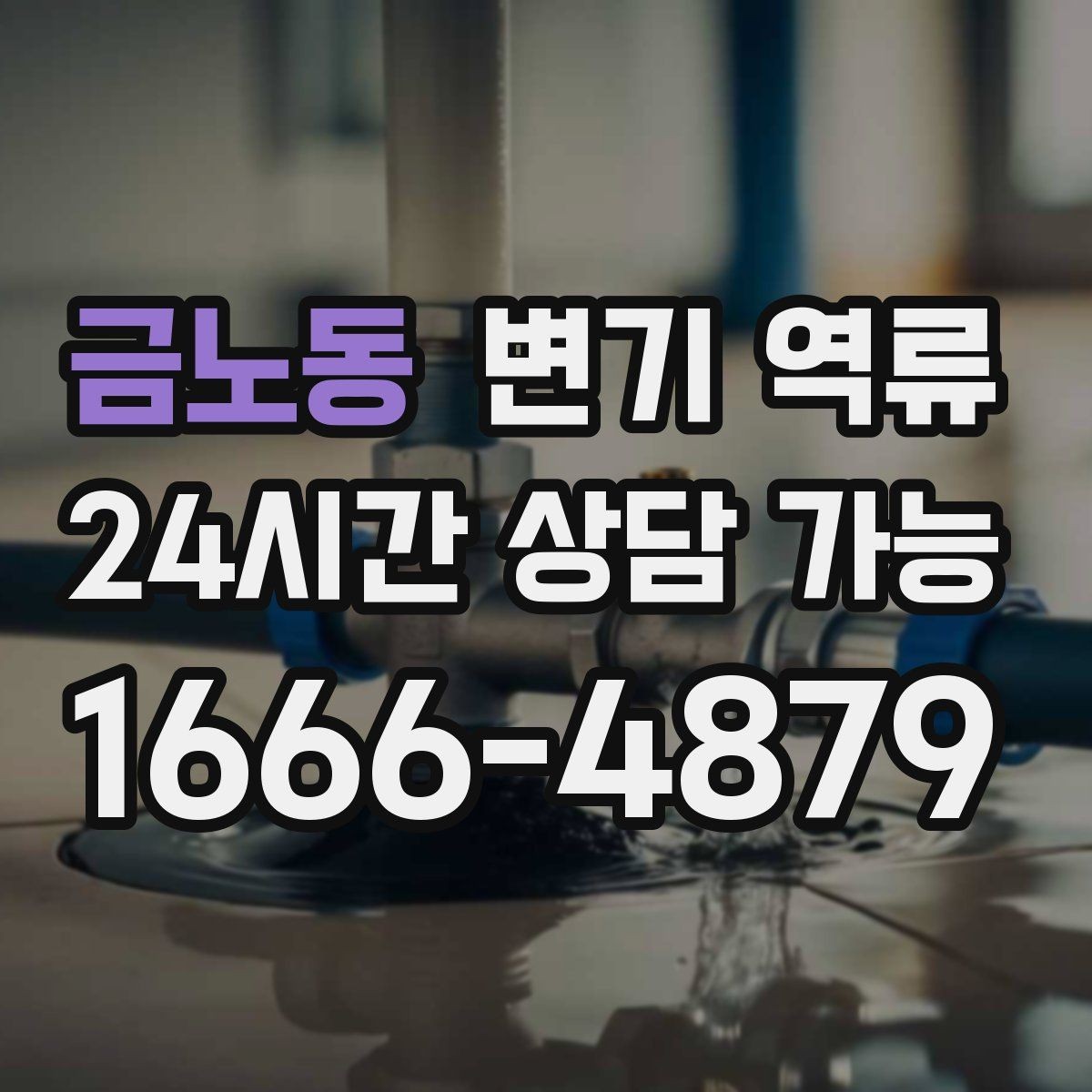 금노동 변기 역류 어린이·반려동물 접근을 막아야 하는 이유