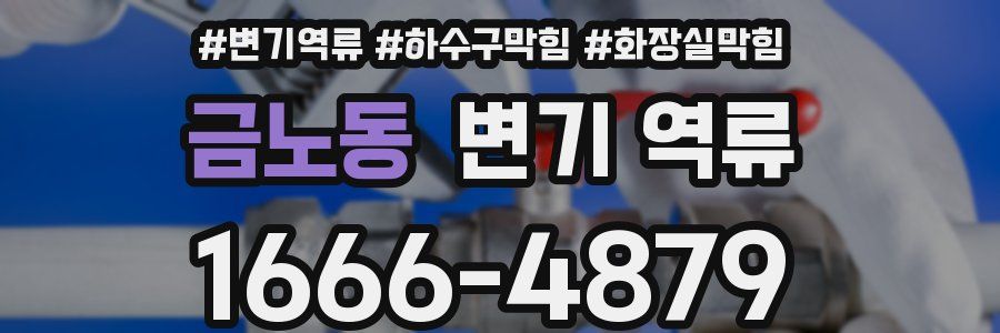 금노동 변기 역류