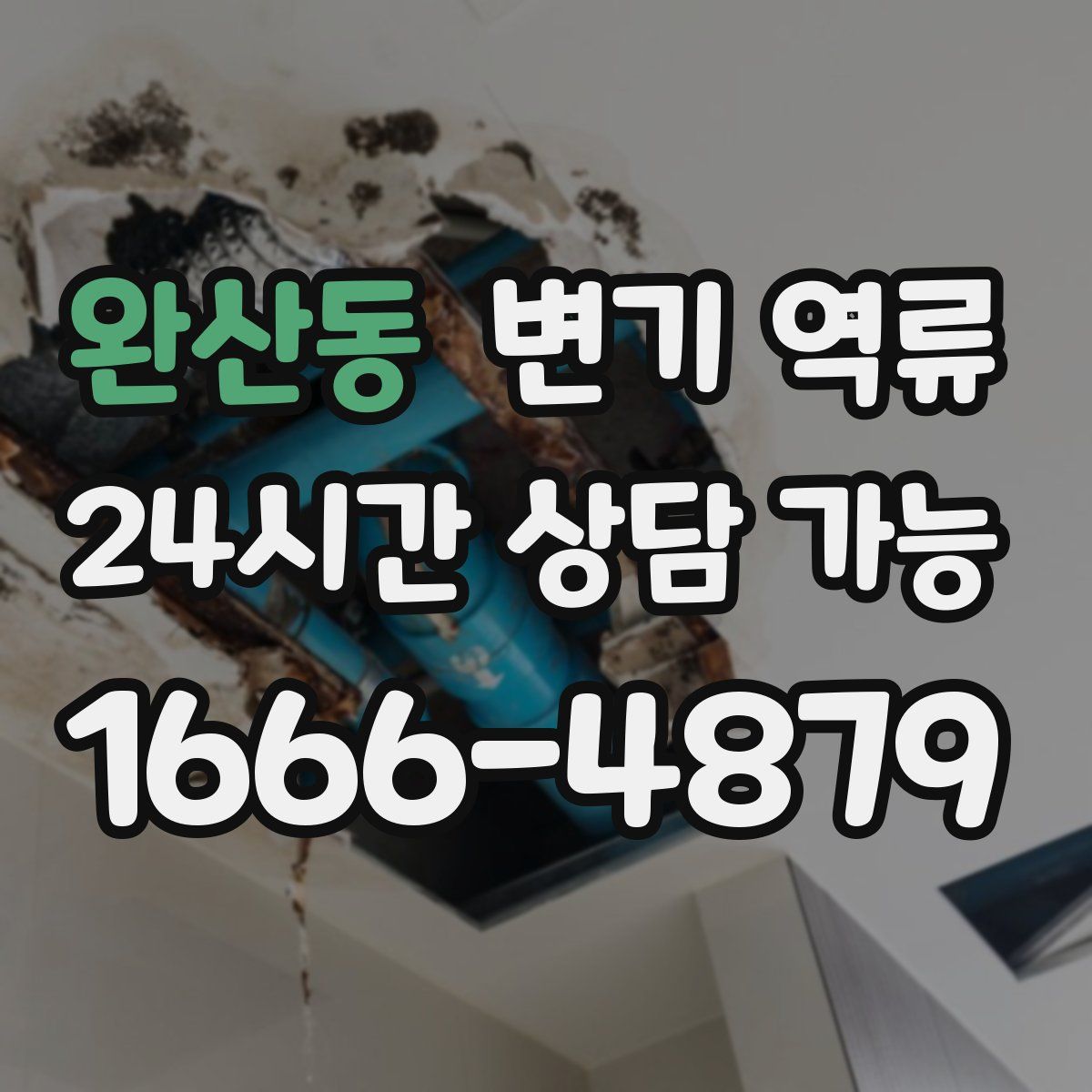 완산동 변기 역류