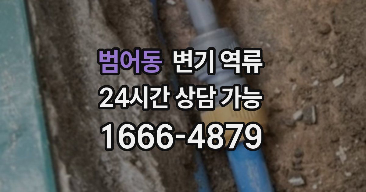 범어동 변기 역류