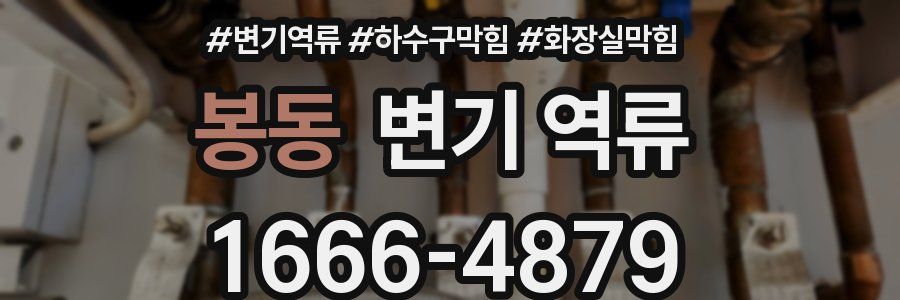 봉동 변기 역류