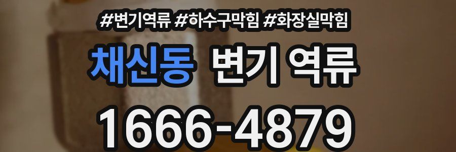 채신동 변기 역류