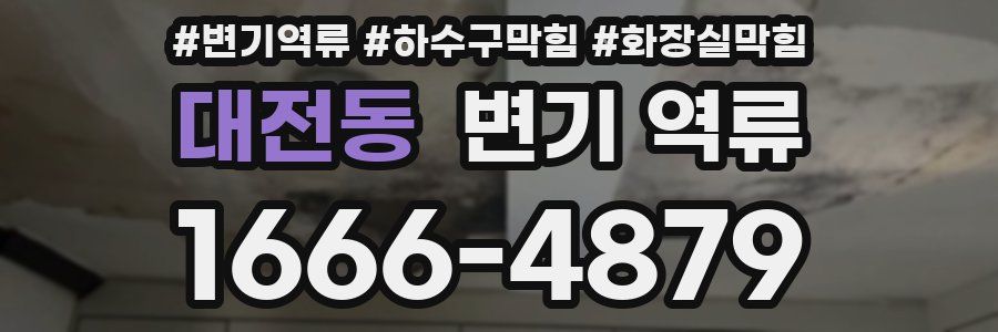 대전동 변기 역류