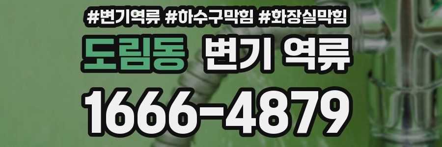 도림동 변기 역류