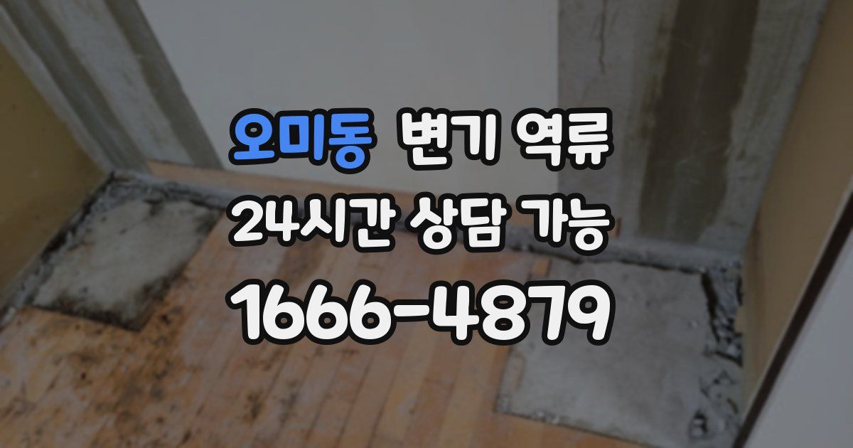 오미동 변기 역류