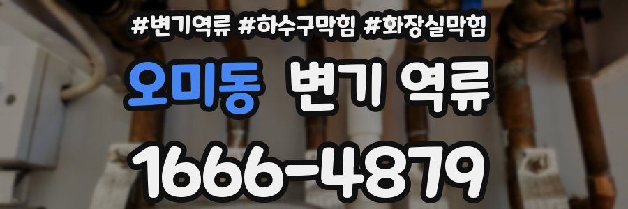 오미동 변기 역류