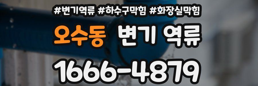 오수동 변기 역류
