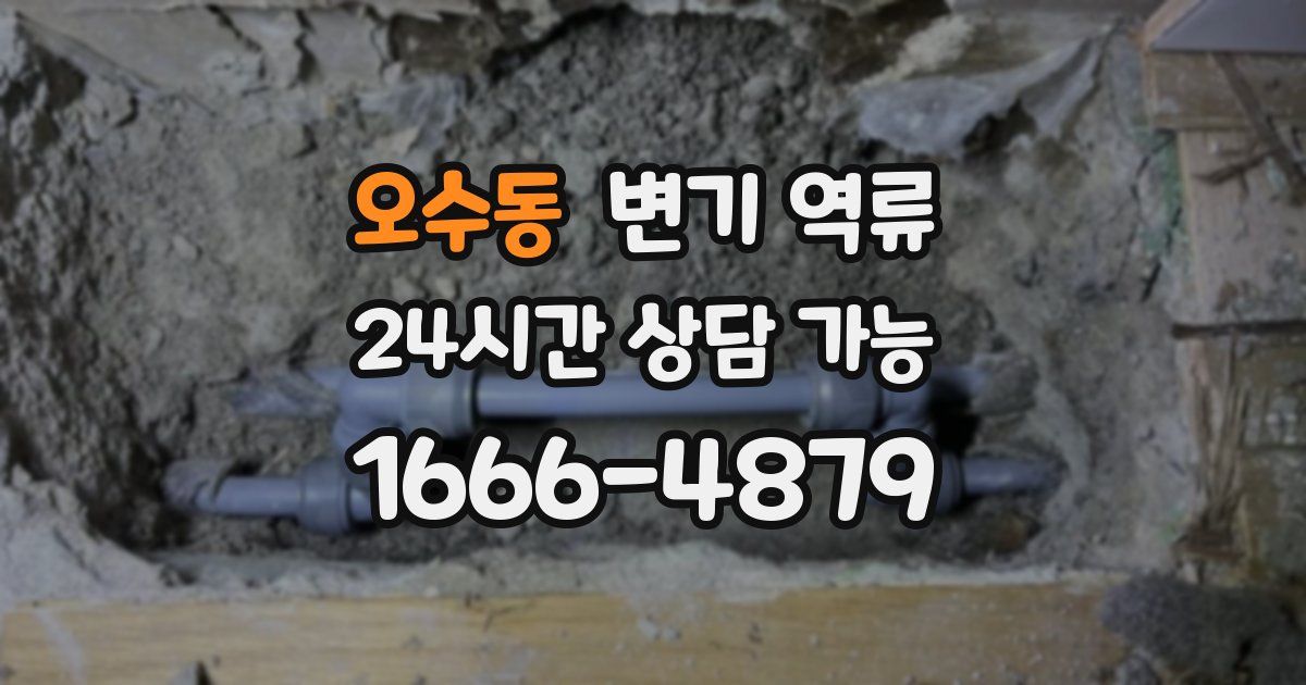 오수동 변기 역류
