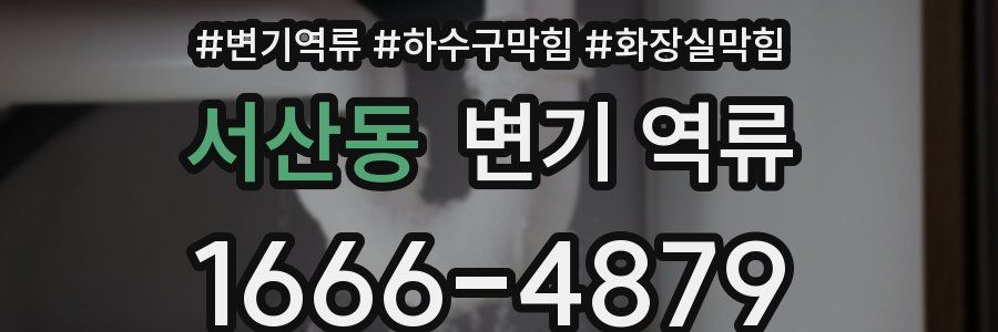 서산동 변기 역류