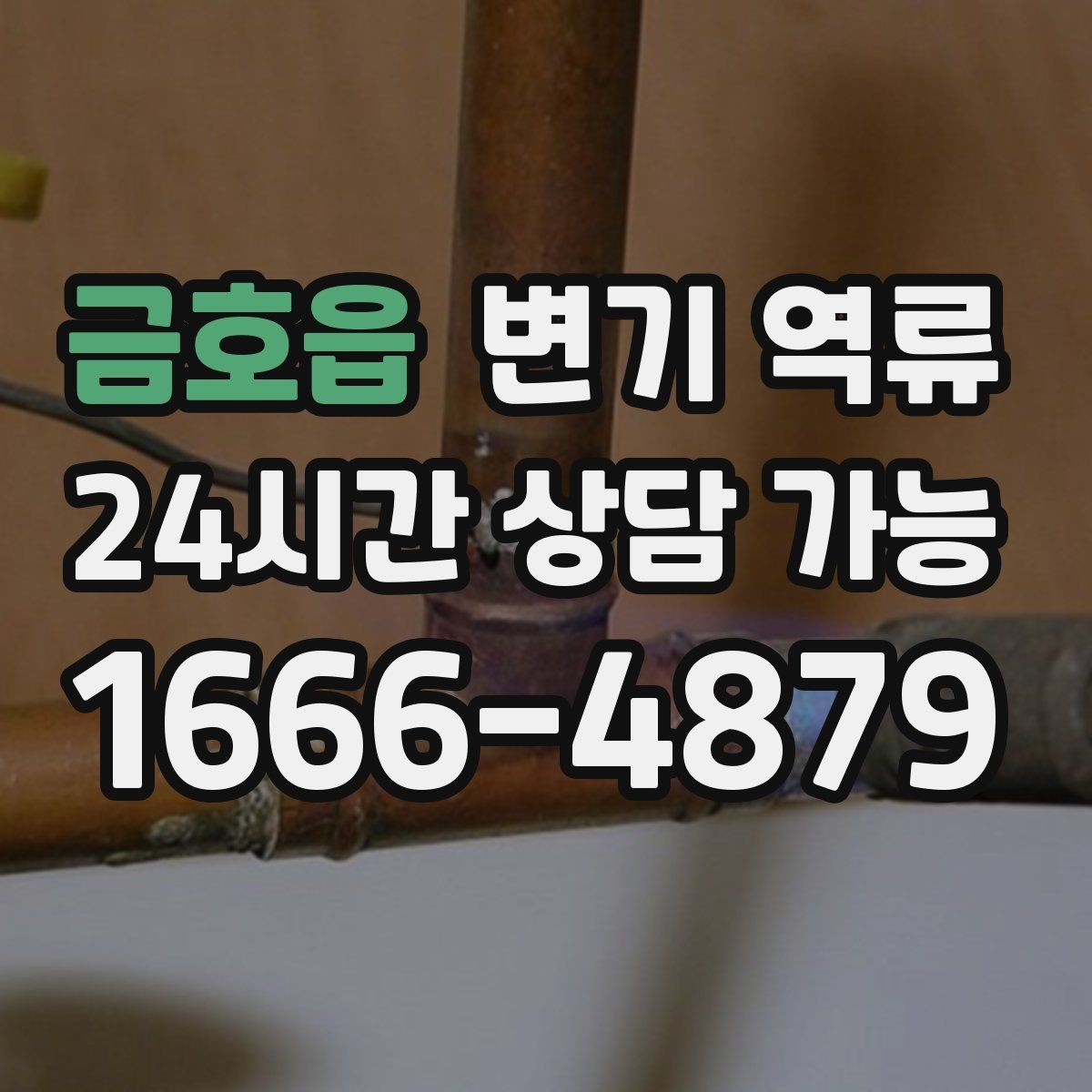 금호읍 변기 역류 특정 시간대에만 심해지는 이유