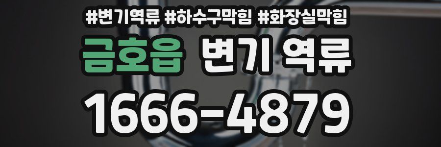 금호읍 변기 역류