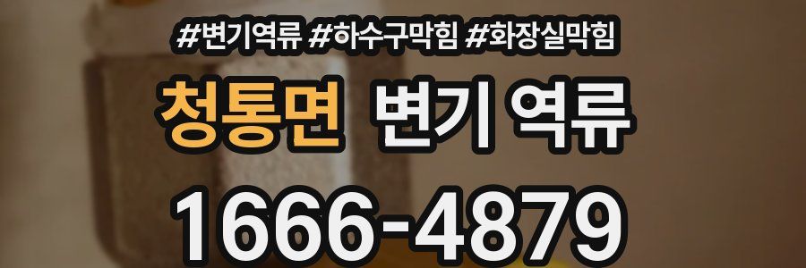 청통면 변기 역류