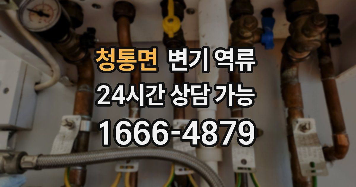 청통면 변기 역류