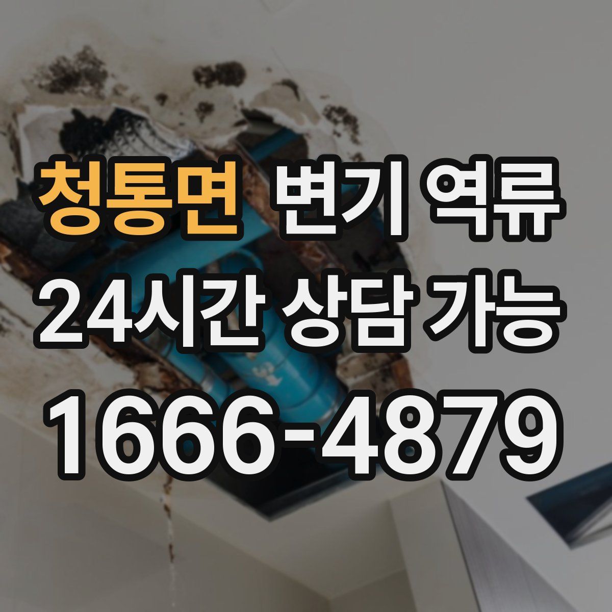 청통면 변기 역류