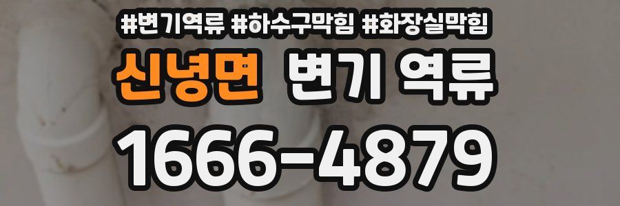 신녕면 변기 역류