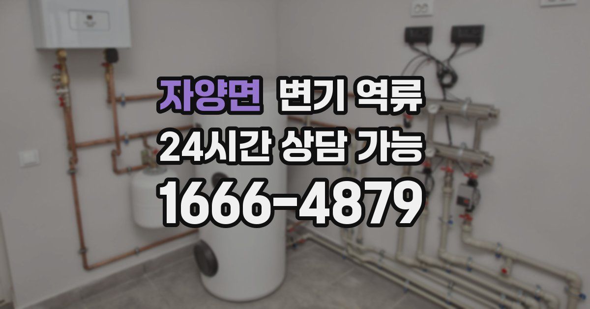 자양면 변기 역류