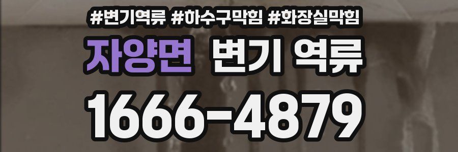 자양면 변기 역류