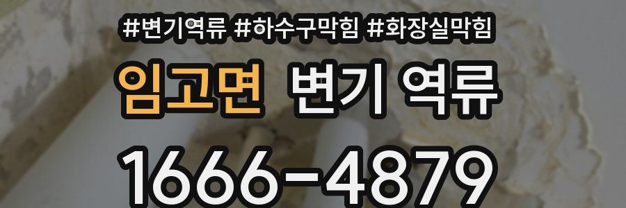 임고면 변기 역류