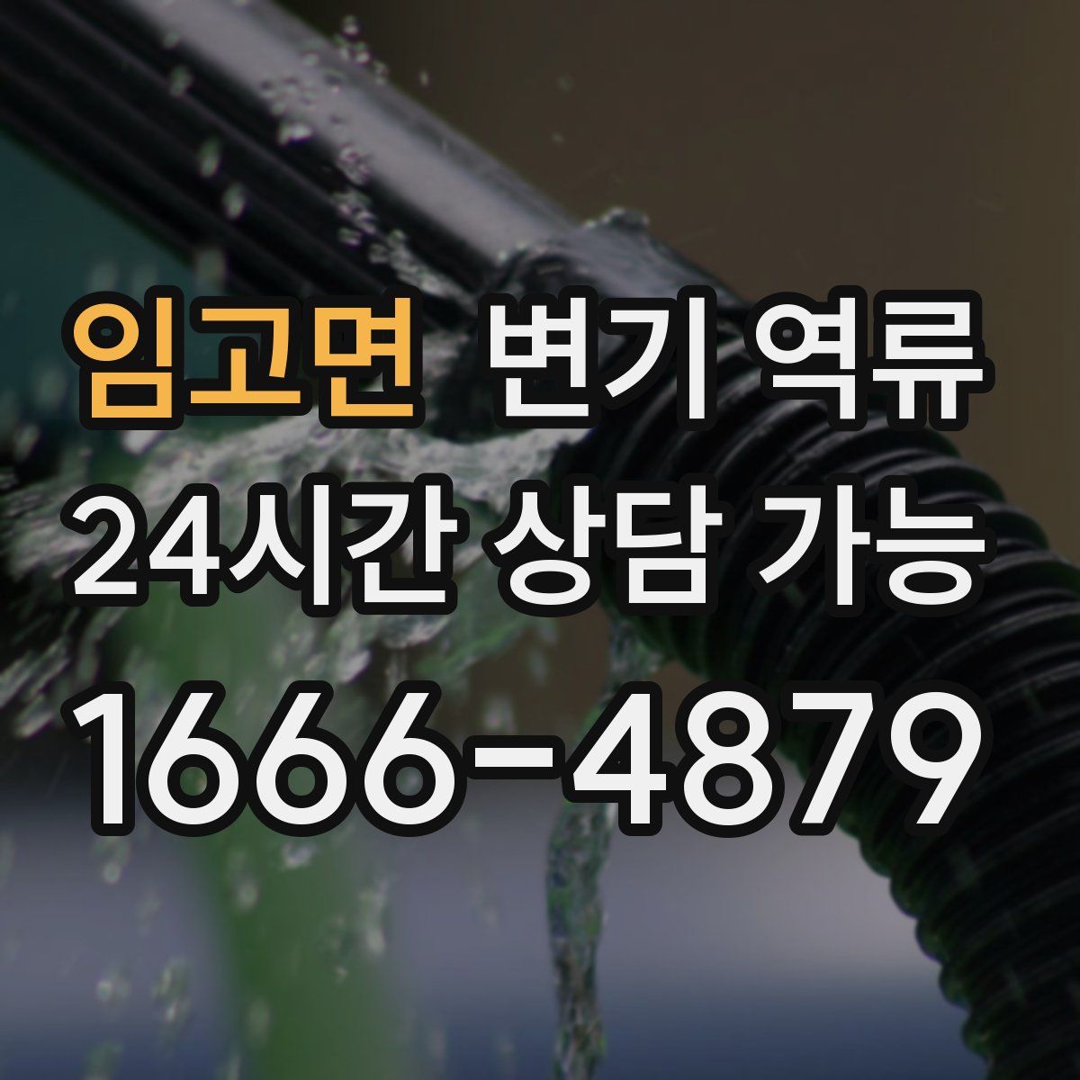 임고면 변기 역류