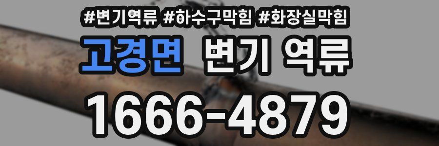 고경면 변기 역류