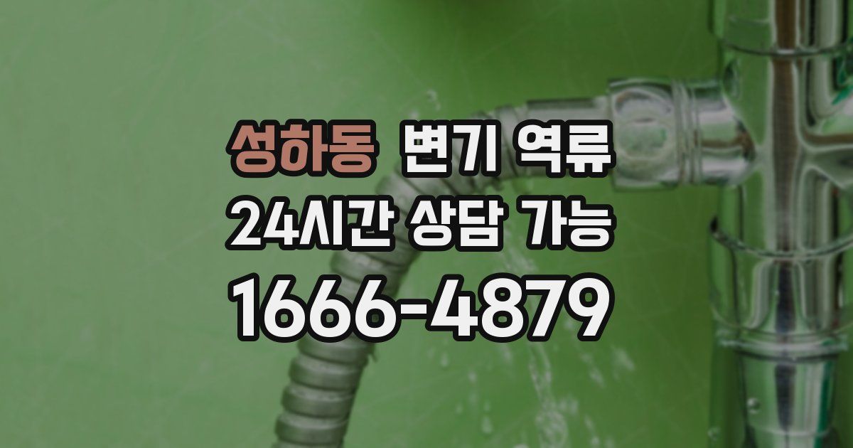 성하동 변기 역류