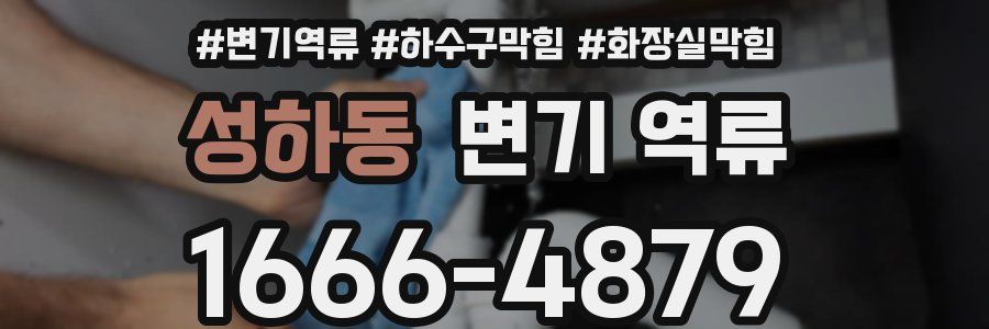 성하동 변기 역류