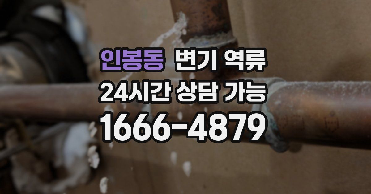 인봉동 변기 역류