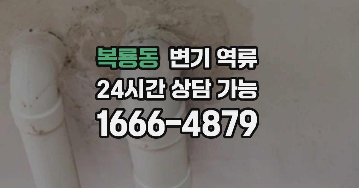 복룡동 변기 역류