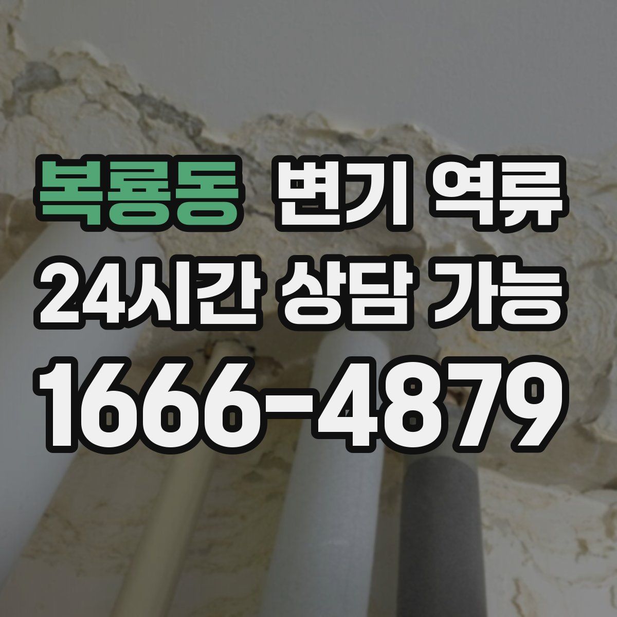 복룡동 변기 역류