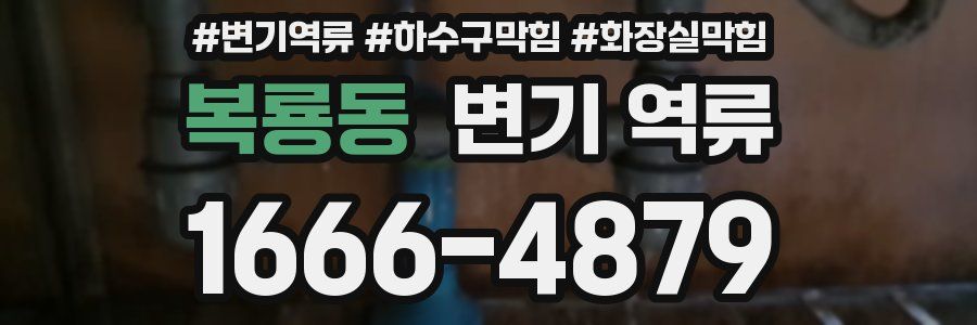 복룡동 변기 역류