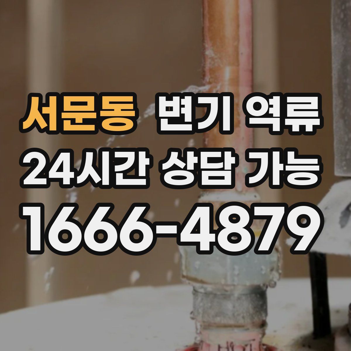 서문동 변기 역류