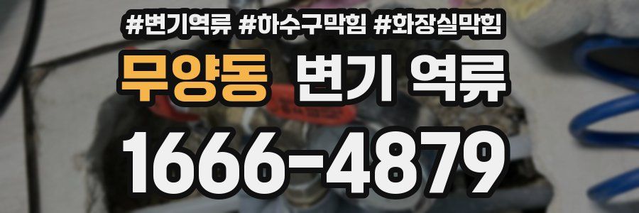 무양동 변기 역류