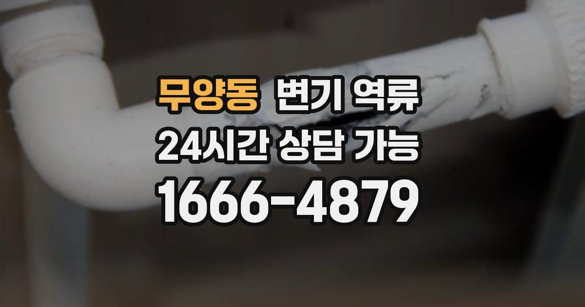 무양동 변기 역류