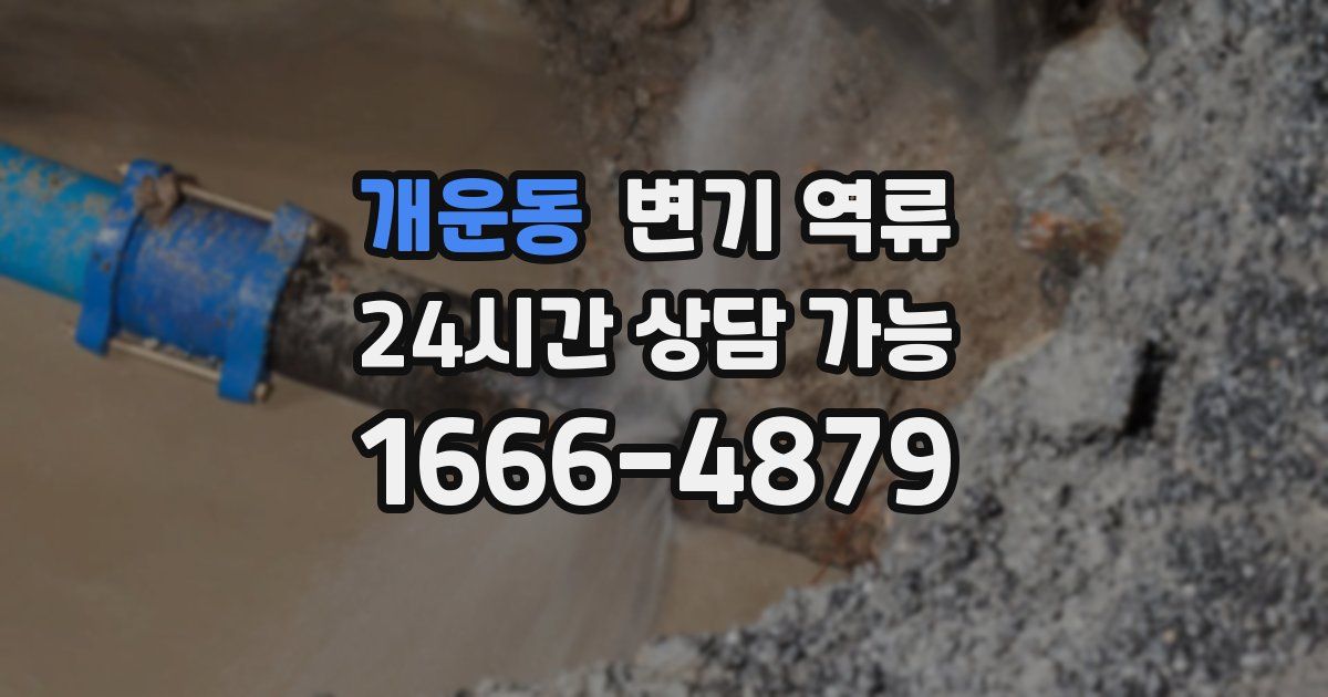 개운동 변기 역류