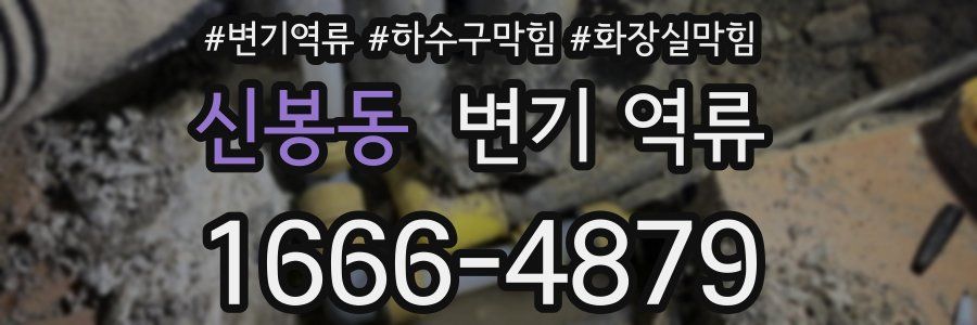 신봉동 변기 역류