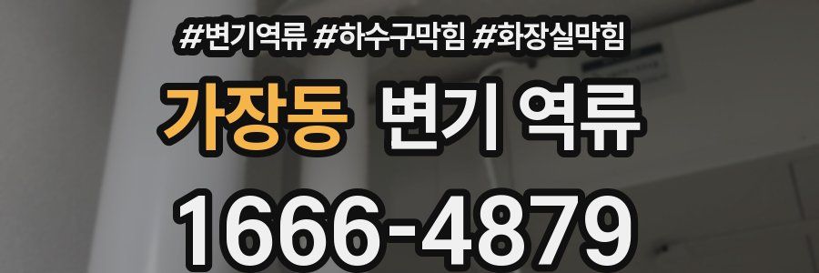 가장동 변기 역류