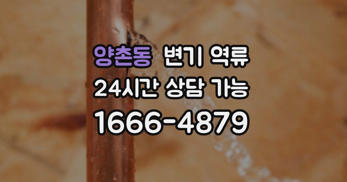 양촌동 변기 역류