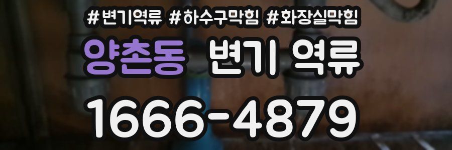 양촌동 변기 역류