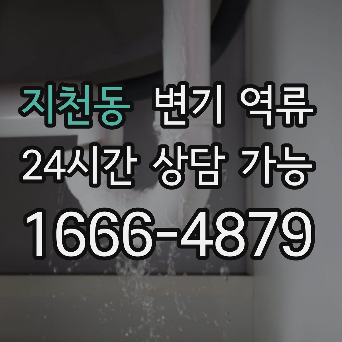 지천동 변기 역류