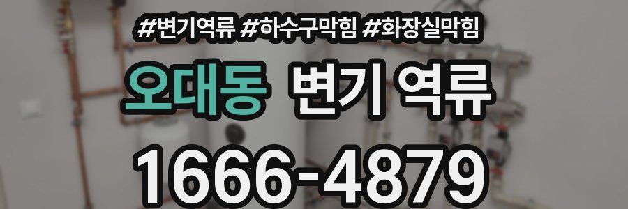 오대동 변기 역류