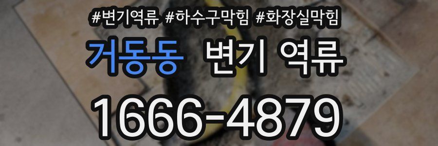 거동동 변기 역류