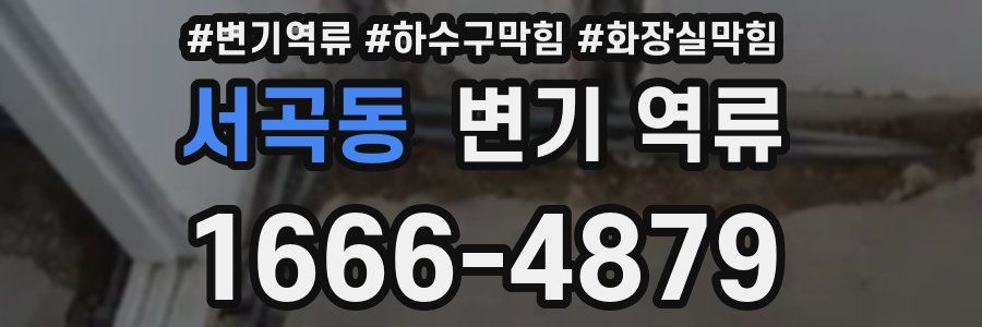 서곡동 변기 역류