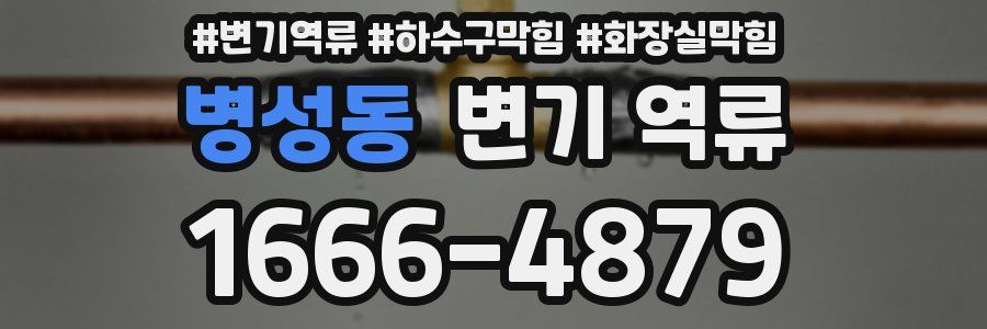 병성동 변기 역류