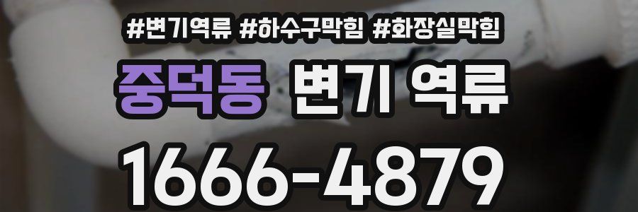 중덕동 변기 역류