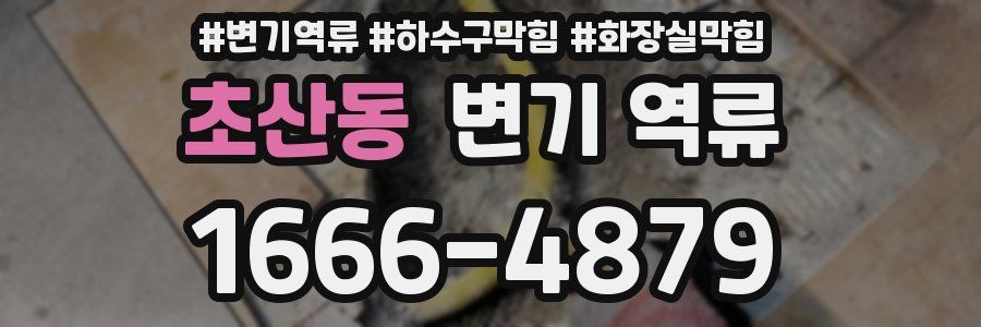 초산동 변기 역류