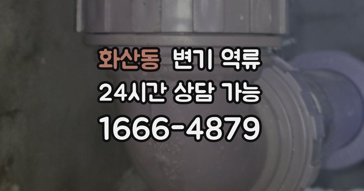 화산동 변기 역류