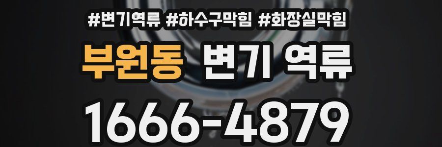 부원동 변기 역류