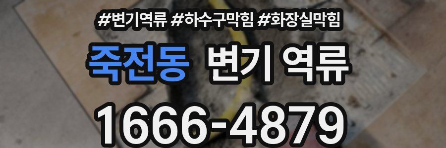 죽전동 변기 역류