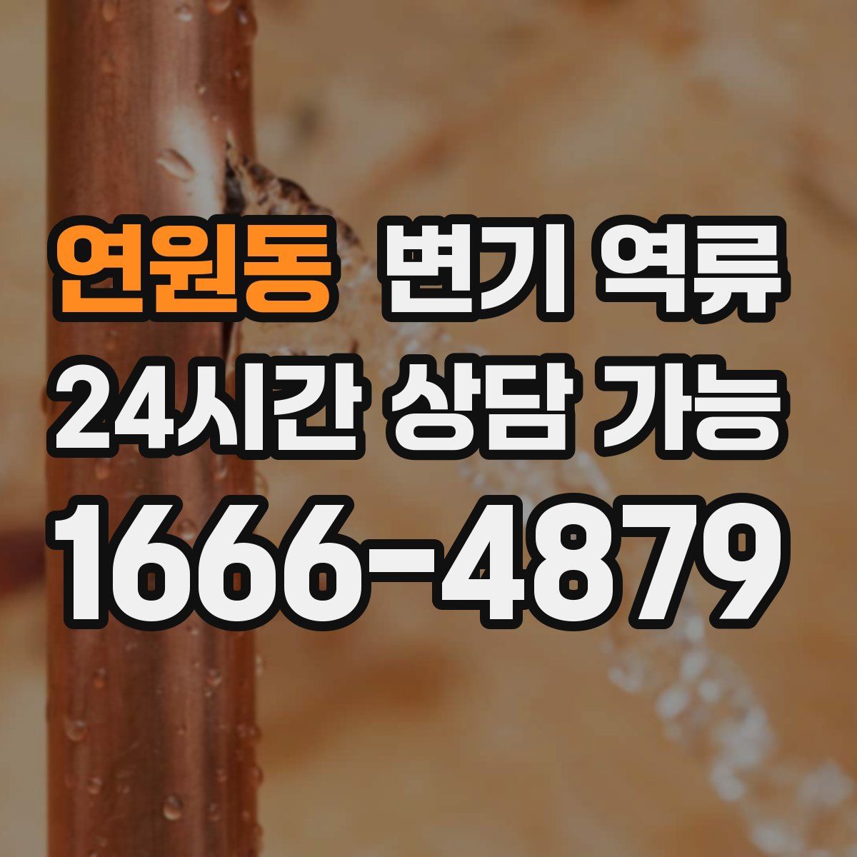 연원동 변기 역류